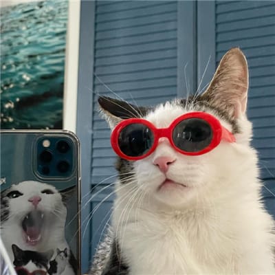 جانید میانداد avatar